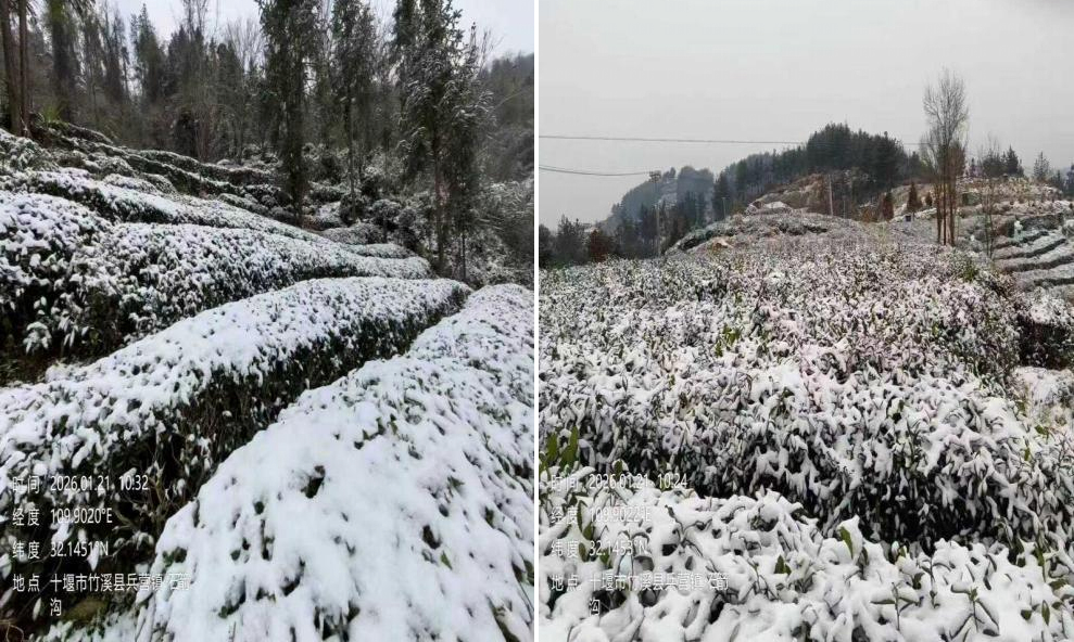 图片3.png 图片3.png