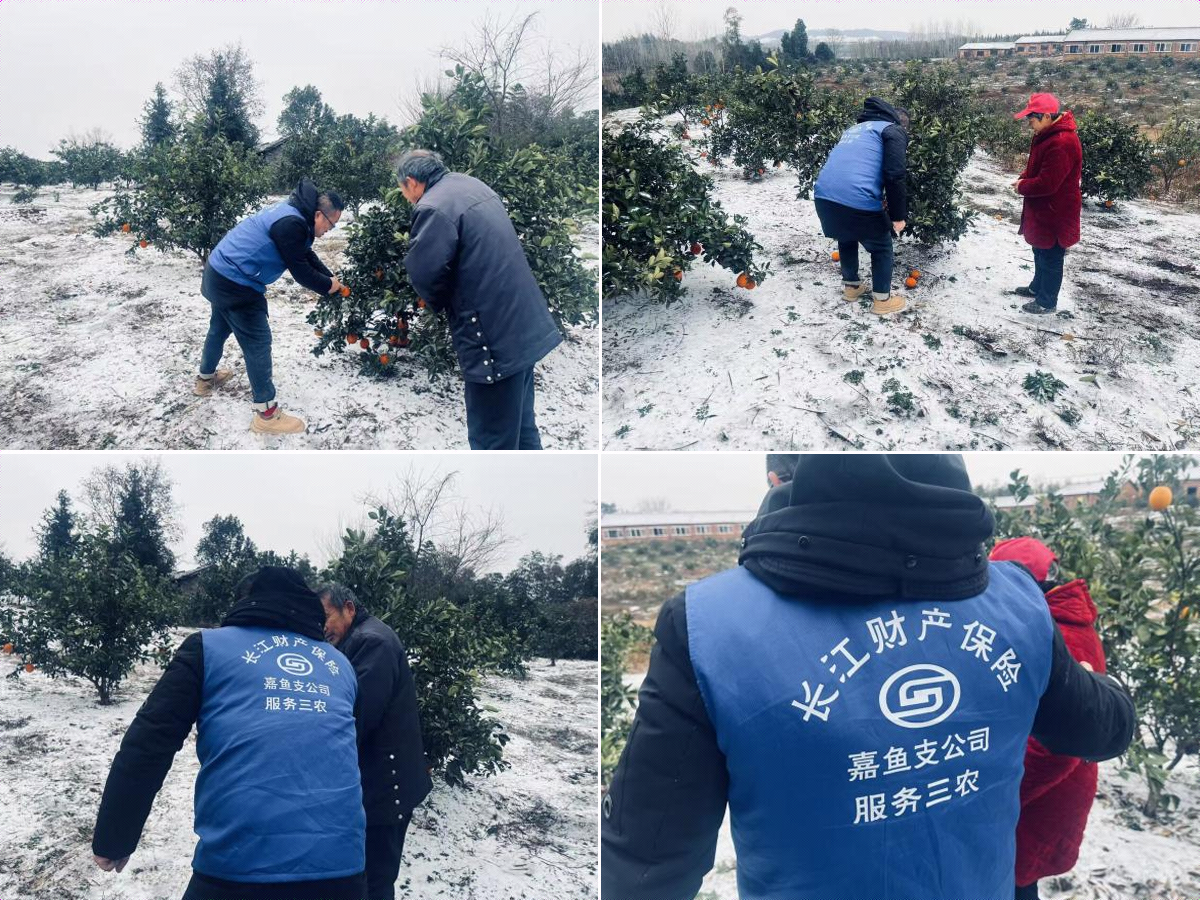 图片4.png 图片4.png